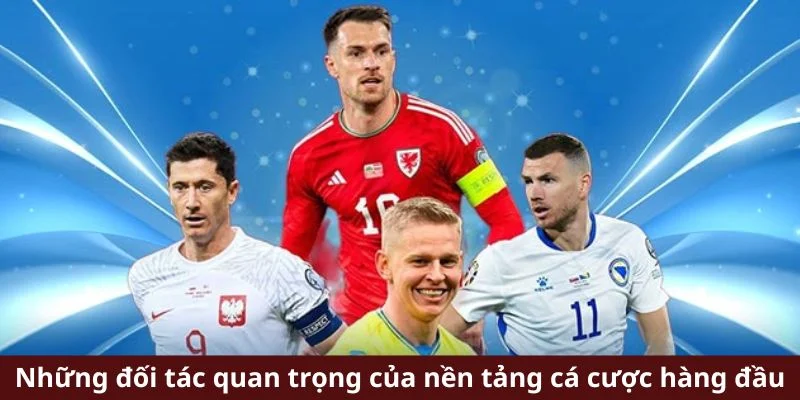 Giới thiệu các đối tác trong lĩnh vực thể thao