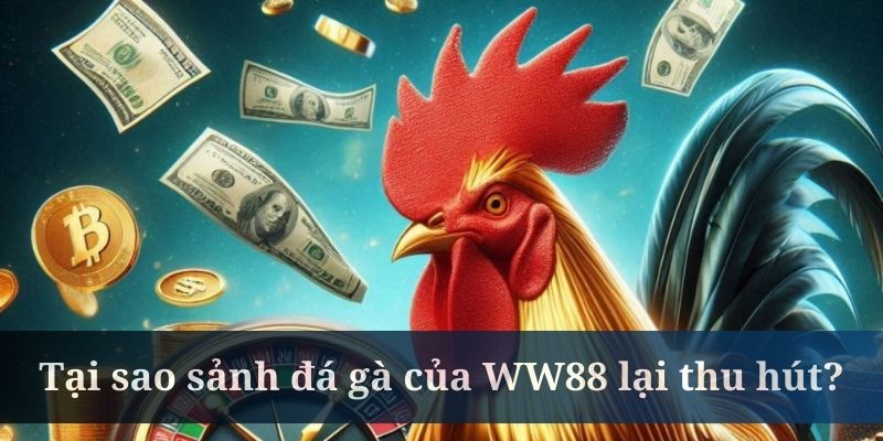 Hướng dẫn tham gia vào đá gà WW88 cực dễ